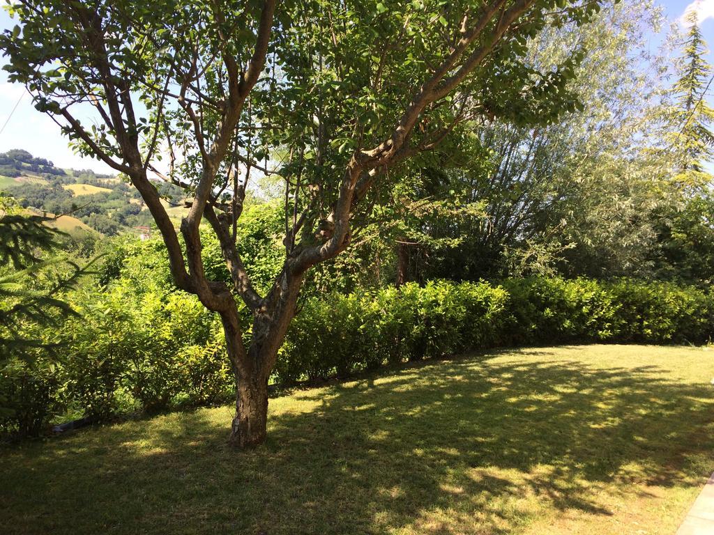 Country House Villa Sabrina San Ginesio エクステリア 写真